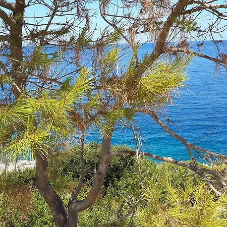 Palataki Absolute Blue Agios Nikolaos (Zakynthos)