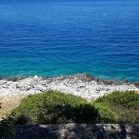 Palataki Absolute Blue *
